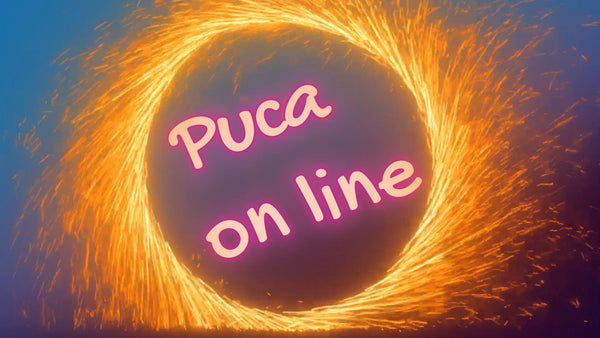 Puca on Line